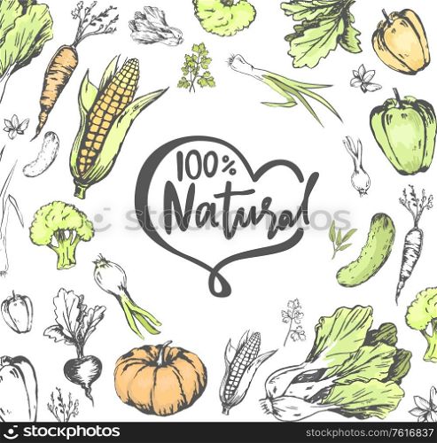100 percent natural vector, pumpkin and onion, carrot and corn, bell pepper and onion, broccoli and greenery, fresh meal and food harvested and gathered. 100 Percent Natural Meal, Veggies Vegetables Set