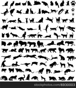 100 silhouettes of big and small cats