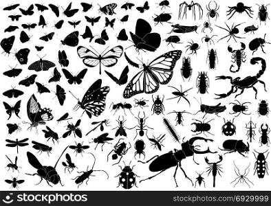 100 vector silhouettes of insects (butterflies, bugs, flies, bees ets.)