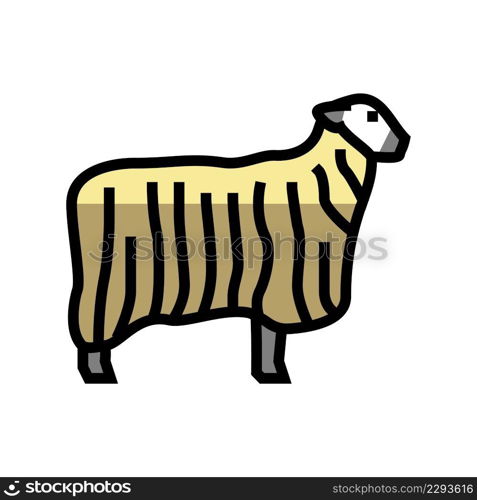 13 teeswater sheep color icon vector. 13 teeswater sheep sign. isolated symbol illustration. 13 teeswater sheep color icon vector illustration