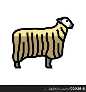 13 teeswater sheep color icon vector. 13 teeswater sheep sign. isolated symbol illustration. 13 teeswater sheep color icon vector illustration