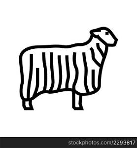 13 teeswater sheep line icon vector. 13 teeswater sheep sign. isolated contour symbol black illustration. 13 teeswater sheep line icon vector illustration