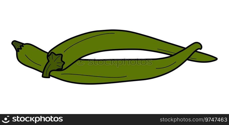 2 isolated intertwined green chili peppers. Latin American and Mexican conventional condiment spices. Sticker. Icon. Vector for poster, banner, brochures, greetings or invitations, price, label or web