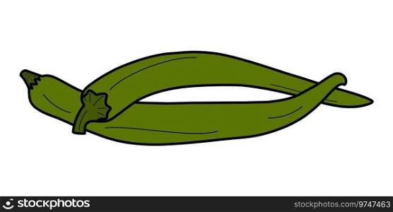 2 isolated intertwined green chili peppers. Latin American and Mexican conventional condiment spices. Sticker. Icon. Vector for poster, banner, brochures, greetings or invitations, price, label or web
