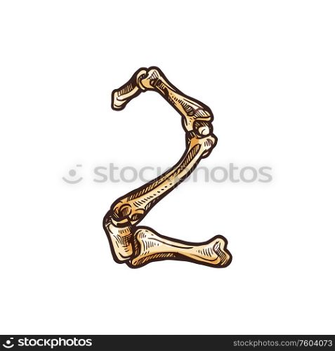 2 number, horror digit of bones isolated numeral. Vector horrible font, two figure. Two of bones, horror second numeric isolated
