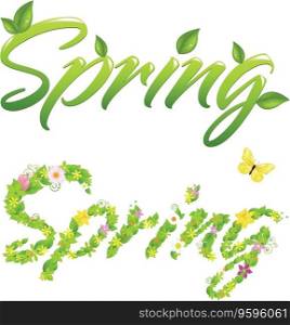 2 spring words vector image