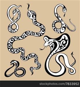 2013 Year snake symbol. Horoscope vector illustration.