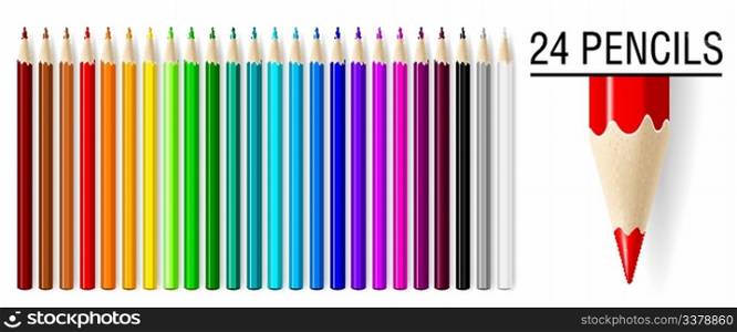 24 realistic vector pencils set isolated on white background.