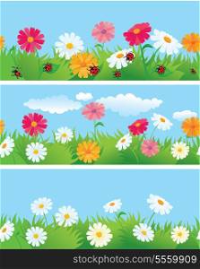 3 seamless borders with ox-eye daisy flowers and ladybirds