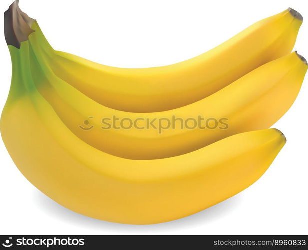 3413 vector image