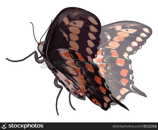 3d butterfly with details, illustration, vector on white background.