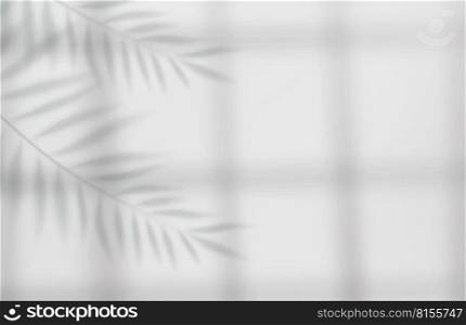 3d Empty light studio abstract background with spotlight effect and tropical palm leaves shadow. concept for your graphic design poster banner and backdrop. 3d rendering. Vector illustration. Empty studio abstract background