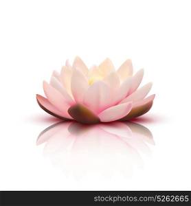 3D Flower Of Lotus. Isolated flower of lotus with light pink petals with reflection on white background 3d vector illustration