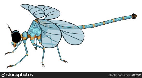 3D model of dragonfly, illustration, vector on white background.