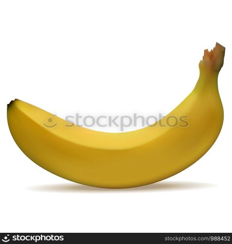 3d realistic banana isolated on white background. Vector illustration.. 3d realistic banana isolated on white background.