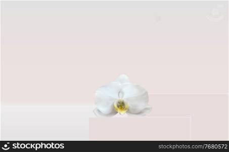 3D Realistic Podium with orchid flower for Fashion Cosmetics Product for Ads, banner or Magazine Background. Vector Iillustration EPS10. 3D Realistic Podium with orchid flower for Fashion Cosmetics Product for Ads, banner or Magazine Background. Vector Iillustration.