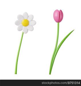 3d Spring flowers icon isolated on white background. Chamomile, tulip. Easter decorations. 3d rendering. Vector illustration.. 3d Spring flowers. Chamomile, tulip