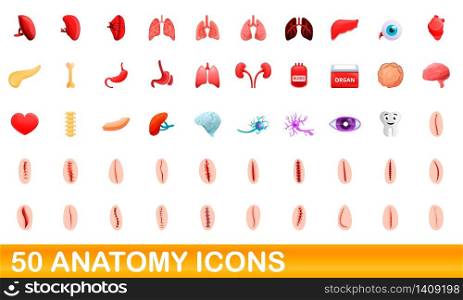 50 anatomy icons set. Cartoon illustration of 50 anatomy icons vector set isolated on white background. 50 anatomy icons set, cartoon style