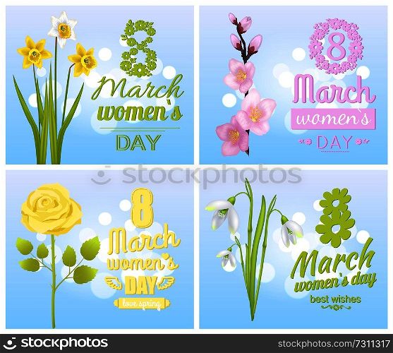 8 March Womens day greeting cards design with spring flowers yellow daffodils, sakura blossoms, tender rose and first snowdrops vector postcards set. 8 March Womens Day Greeting Cards Design Flowers
