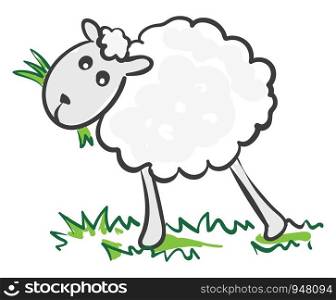 A A sheep eating on a grass , vector, color drawing or illustration.