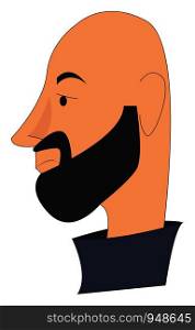 A bald man with a black beard, vector, color drawing or illustration.