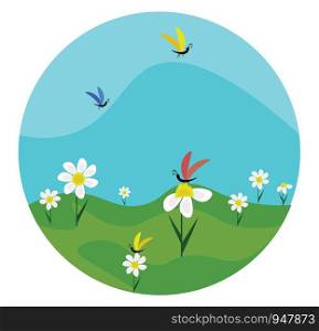 A beautiful green field with lot of chamomile flowers and butterflies on it , vector, color drawing or illustration.