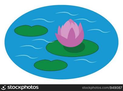 A beautiful pound of water lily, vector, color drawing or illustration.