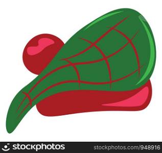 A beautiful Scottish hat in red and green color, vector, color drawing or illustration.