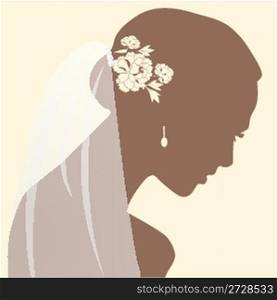 a beautiful woman portrait silhouette with bride vale