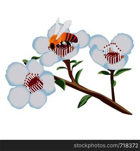 A bee on a blooming tree flower vector illustration on a white background isolated