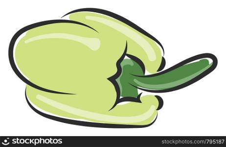 A big fat pepper in green color vector color drawing or illustration