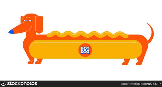 A big hot dog. Hot dog dachshund. Vector illustration.. Cartoon hot dog dachshund. Vector illustration