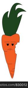 A big orange carrot with green leaves with a bite on the side expresses sadness vector color drawing or illustration