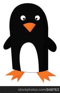 A big penguin in black and orange color, vector, color drawing or illustration.