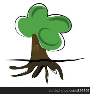 A big tree with strong underground roof vector or color illustration
