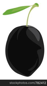 A black olive with a leaf, vector, color drawing or illustration.