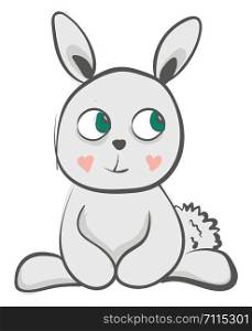 A blushing grey hare vector or color illustration