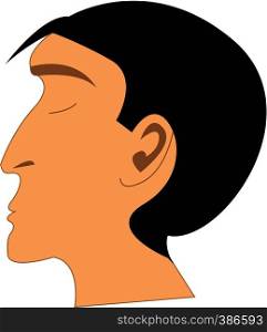 A boy with long nose and panted hair vector color drawing or illustration