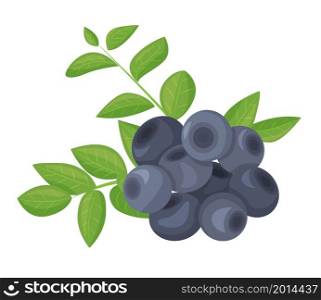 A branch of ripe blueberries, isolated on a white background. Beautiful juicy berries surrounded by bright foliage. Kitchen utensils design element. Vector illustration
