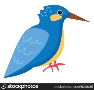 A bright blue bird vector or color illustration