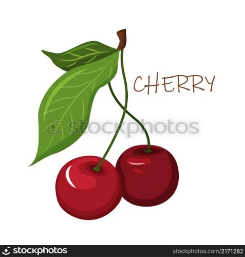 A bright colorful composition with ripe cherry berries. Fruit. Gardening. Vector