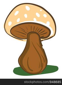 A brown mushroom with white spots and a green shadow, vector, color drawing or illustration.