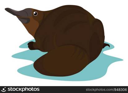 A brown platypus with an elongated bill, short tail, webbed feet, and dense fur, keenly looks to the left while lying on the water over white background , vector, color drawing or illustration.