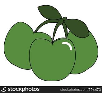 A bunch of little green apple vector color drawing or illustration