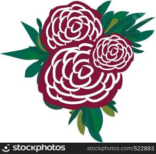 A bunch of maroon and white roses vector color drawing or illustration