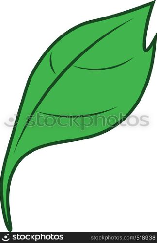 A cartoon of a green colored leaf vector color drawing or illustration