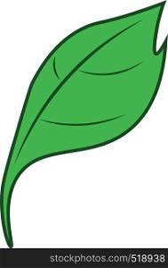A cartoon of a green colored leaf vector color drawing or illustration