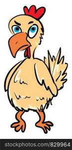 A chicken with blue eyes orange beak and legs red comb and wattles and an angry expression on the face vector color drawing or illustration