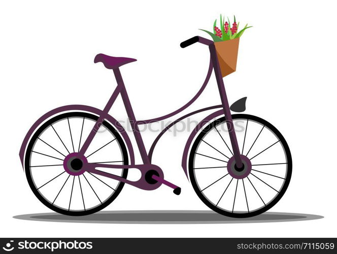 A clean bicycle with a basket in it which is filled full of flowers vector color drawing or illustration