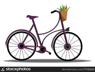 A clean bicycle with a basket in it which is filled full of flowers vector color drawing or illustration